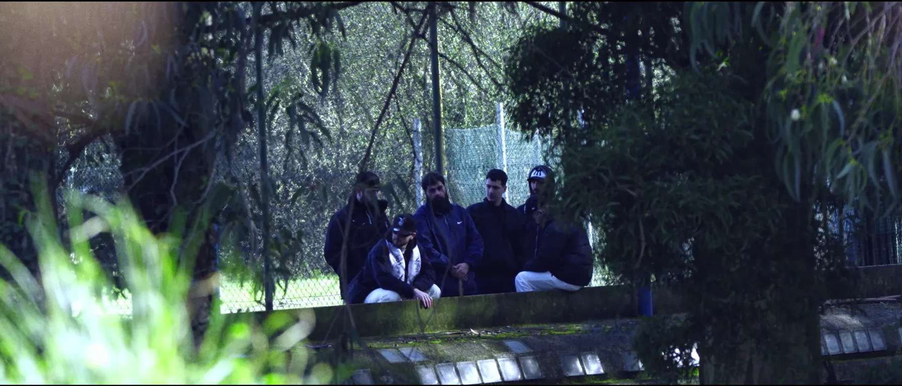 Ultrasonido / Ruido Blanco